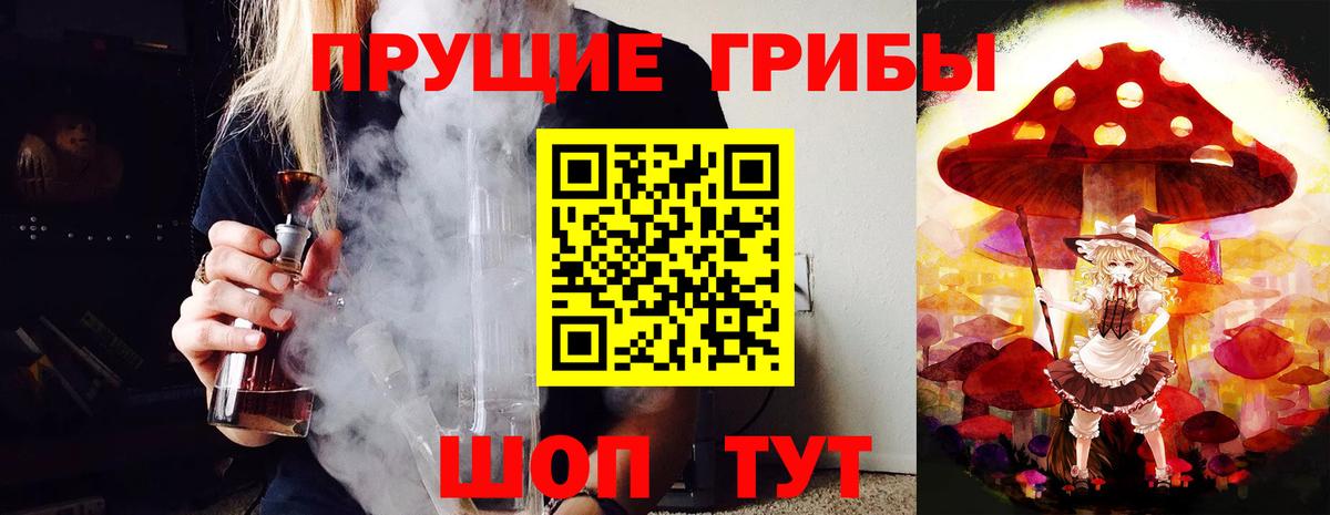 Галлюциногенные грибы Cubensis Кострома